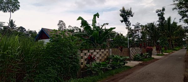 Saksi Ke-3 Penggugat Sengketa Tanah Tumpukrenteng: “Kalau Saya Melanggar Al-Qur’an, Saya Pulang Mati Kalau Tidak Jujur”