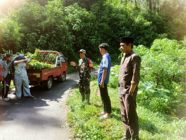 Koramil 0818/23 Jabung Bersama UNESA Tanam 300 Pohon Menjaga Kelestarian Alam