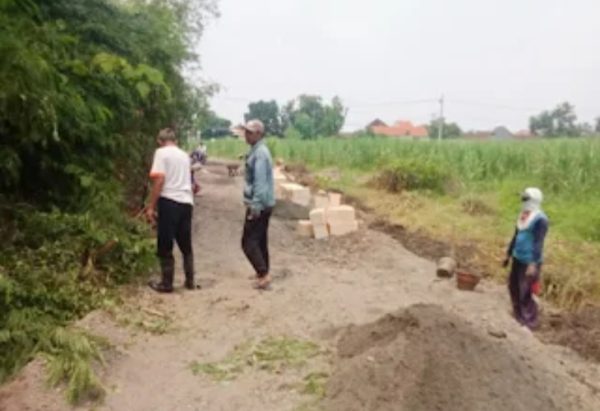 Proyek Jalan Menuju Makam Baru di Tulangan Diduga Bermasalah, TPK Akui Bekerja Tanpa RAB