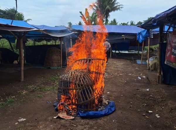 Polresta Banyuwangi Bongkar Dugaan Arena Judi Sabung Ayam di Singojuruh