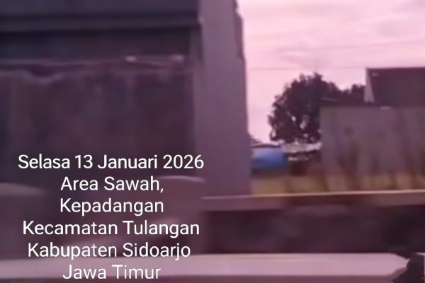 Diduga Marak Judi Sambung Ayam dan Dadu di Kepadangan Tulangan, Warga Minta Aparat Bertindak