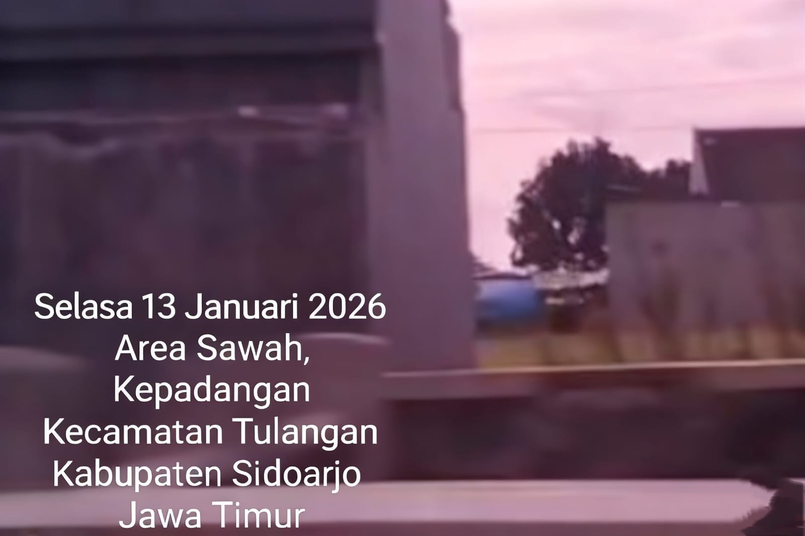 Img 20260113 Wa0111