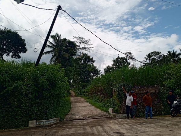 Setahun Dikeluhkan Tak Digubris, Tiang Listrik Nyaris Roboh di Pagak Jadi Ancaman Nyata Warga