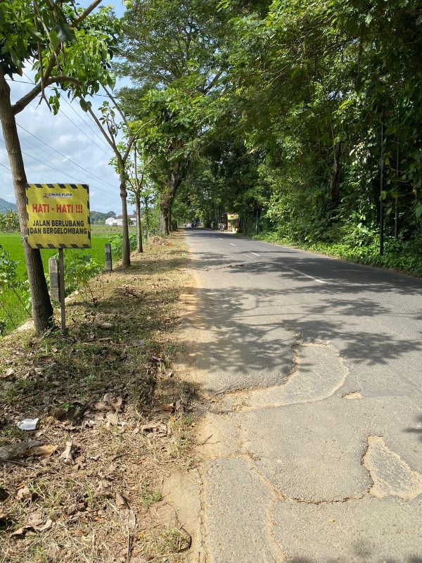 2 Kilometer Jalan Bendorejo–Pogalan Hancur, Warga: “Jangan Tunggu Korban Jiwa!”
