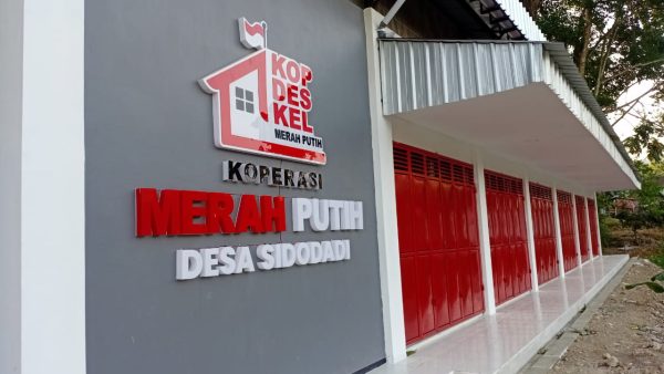 KDKMP Sidodadi Hampir Rampung, Siap Dongkrak Perekonomian Warga dan Kembangkan Wisata Telaga
