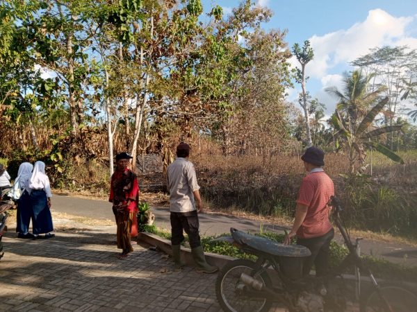 Kebakaran Lahan Tebu di Rejosari Hanguskan Sekitar 2 Hektare, Warga Soroti Respons Pemadam Kebakaran