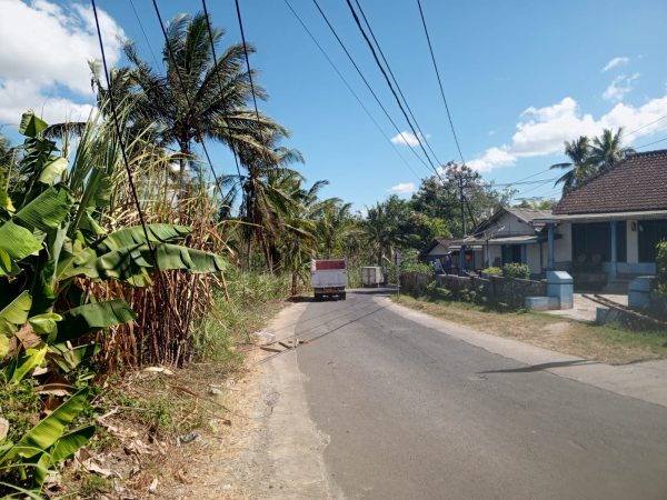 PLN ULP Gondanglegi Gerak Cepat Tindaklanjuti Aduan Kabel Listrik Melintang di Jalan Durmo Bantur